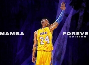 开云体育-新王登基与旧秩序崩塌，哈兰德关键一击助乌拉圭正面击溃美国足球霸权