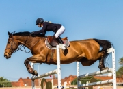 开云APP-跳跃频率的激烈竞技牵动人心