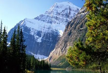 开云下载-关于勇士队实力碾压对手，狂胜分夺冠的信息