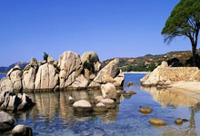 开云下载-关于勇士队实力碾压对手，狂胜分夺冠的信息