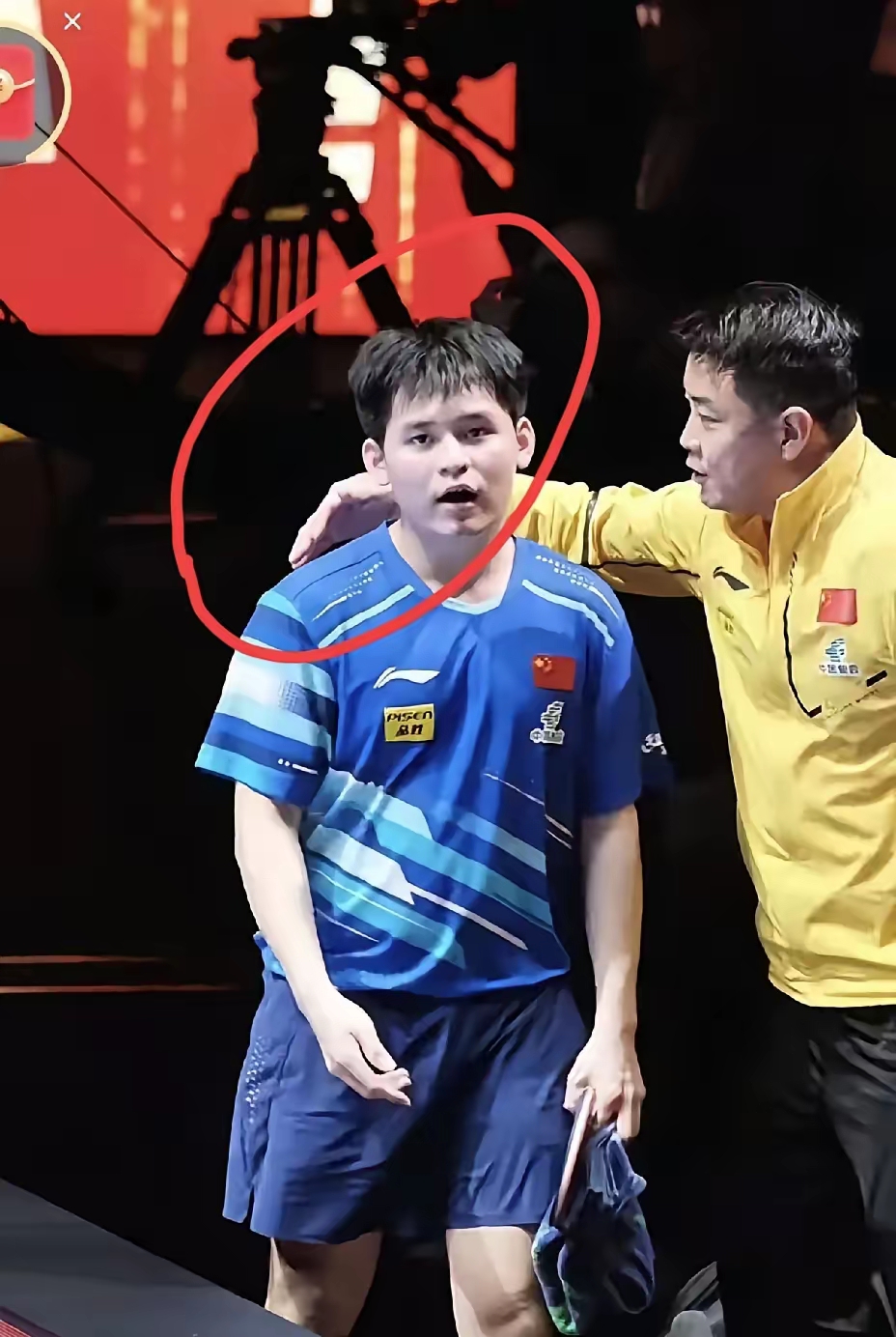 关于法国乒乓球队力克比利时乒乓球队，王皓制霸全场的信息