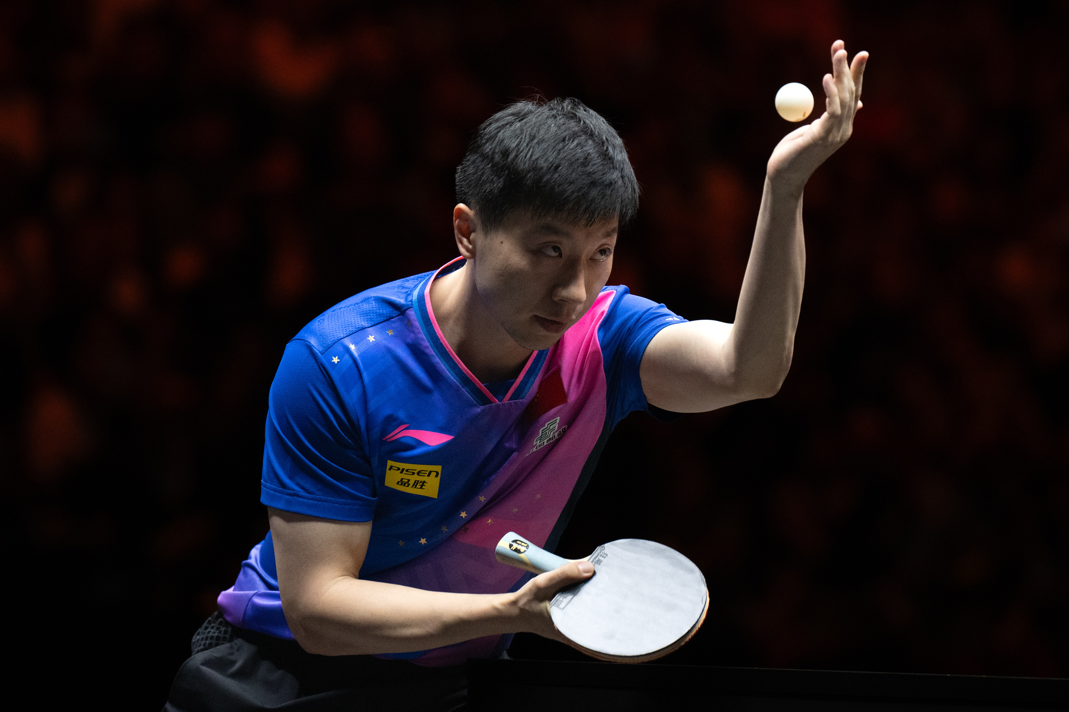 中国乒乓球队血洗波兰乒乓球队,马龙惊艳世界的简单介绍 中国乒乓球队血洗波兰乒乓球队,马龙惊艳世界的简单介绍