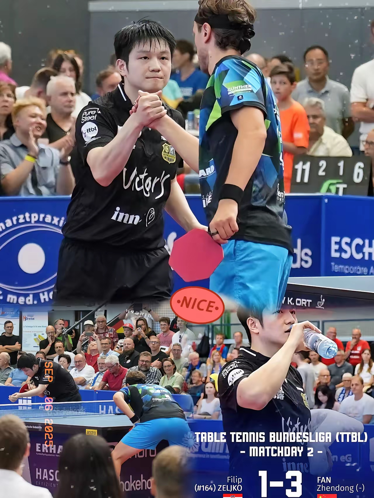 韩国队碾压法国队，樊振东状态火热