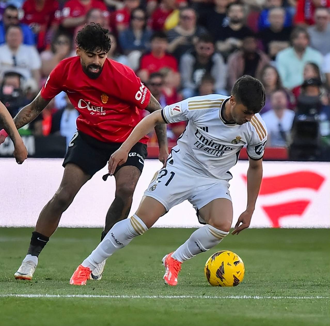 欧预赛火爆开球，热闹球场势不可挡的简单介绍