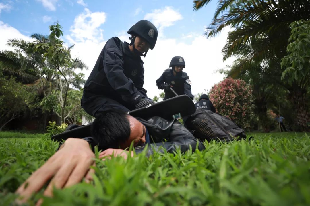 包含使命在肩女足团队，披荆斩棘心血炽烈的词条