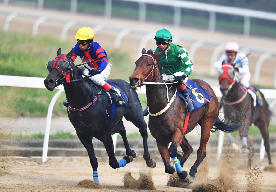 中国篮球赛场上连连发生引人注目的大事