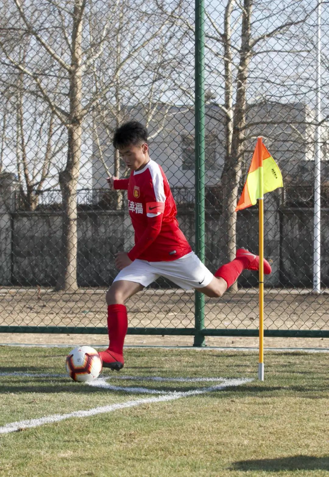 河北精英击败江苏苏宁，稳固中游位置的简单介绍